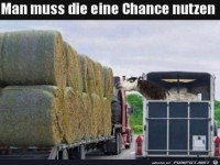 Chance nutzen