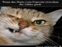 Zwischen den Z�hnen