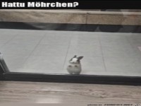 Hast du ein M�hrchen?