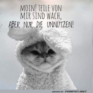 Begrüßungsbild