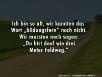 Bildungsfern