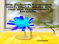 die zukunft kmmert mich nicht