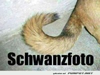 Was hast du erwartet?