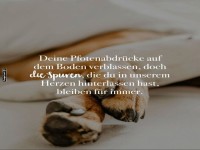 Gedenkfoto mit Hundepfoten