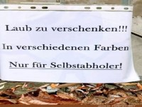 Kostenloses Herbstangebot: Laub im berfluss!