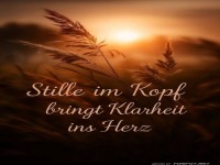 Meditation: Wenn Grser die Weisheit flstern