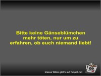 Bitte keine G�nsebl�mchen mehr t�ten