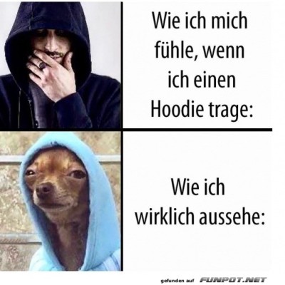 Hoodie-Realität:-Vom-Badass-zum-Chihuahua.jpg von Phil-1986