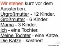 Von 12 Kindern zur kastrierten Katze