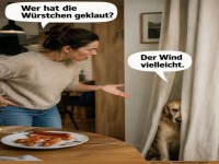 Wenn der Hund zum Wetterprofi wird