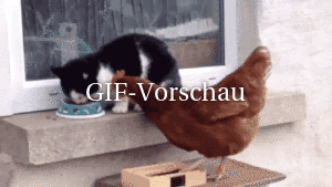 Geh weg