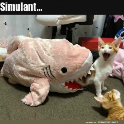 Was-für-ein-Simulant.jpg von Talia1999