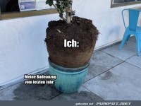 Mein Badeanzug vom letzten Jahr