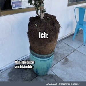 Mein-Badeanzug-vom-letzten-Jahr.jpg von Erwin32