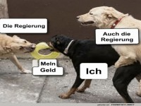 Wenn die Hunde f�r Steuerberater halten