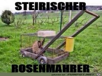 Rosenmaeher