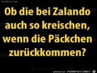 Ob die bei Zalando...