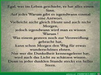 Alles hat einen Sinn