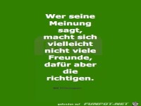 wer seine meinung sagt