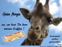Guten Morgen -