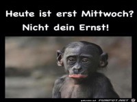 erst Mittwoch......