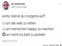 Morgens aufstehen