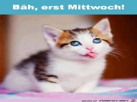 Mittwoch