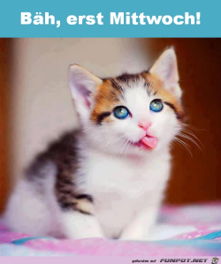 Mittwoch.png auf www.funpot.net