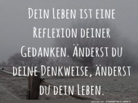 dein Leben ist eine Reflexon.......