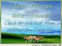 Guten Morgen liebe Freunde