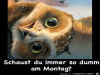 Montag