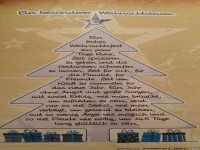 Ein besonderer Weihnachtsbaum