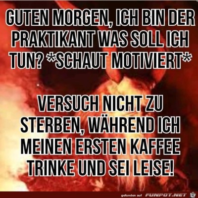 Praktikant.jpg von Noah75