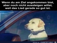 Am Ziel angekommen