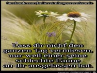 Lass dir nicht den ganzen Tag vermissen