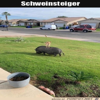 Schweinsteiger.jpg von SWolle