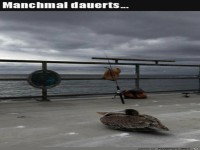 Wenn es mal wieder l�nger dauert