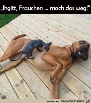 Mach-das-weg.jpg auf www.funpot.net