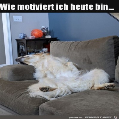 Hoch-motiviert.jpg von Ava