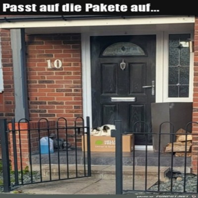Katze-passt-auf.jpg von Alya