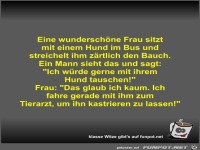 Eine wunderschne Frau sitzt mit einem Hund im Bus und...