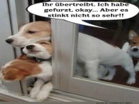 Jetzt �bertreibt mal nicht