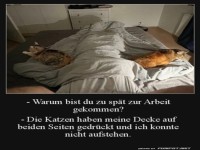 Warum ich zu sp�t war