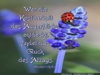 Kostbarkeit des Augenblicks