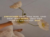 Zarte Blumen in der Hand gehalten.