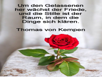 um den gelassenen her