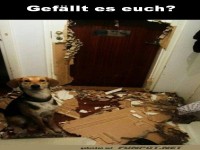Gef�llt es euch?