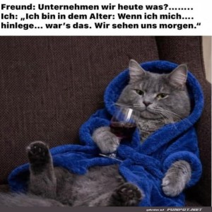 Katzen-Chillmodus:-Pl�ne-auf-Eis-gelegt!.jpg von Nele68