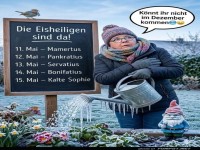 Fr�hlingsschock: Eisheilige �berfallen Mai!