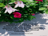 weiter